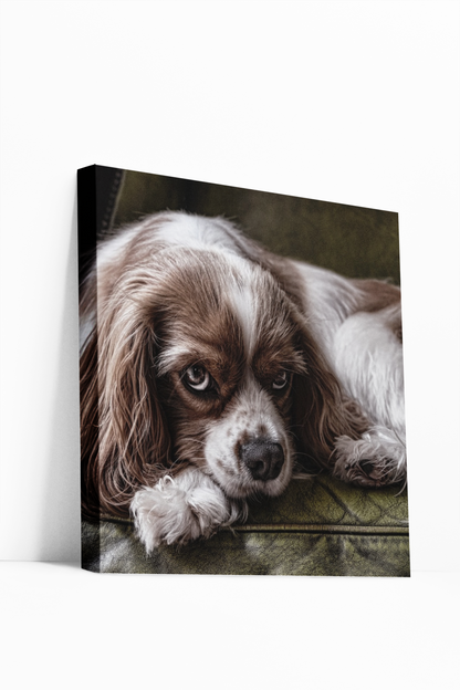 Your Images On Canvas