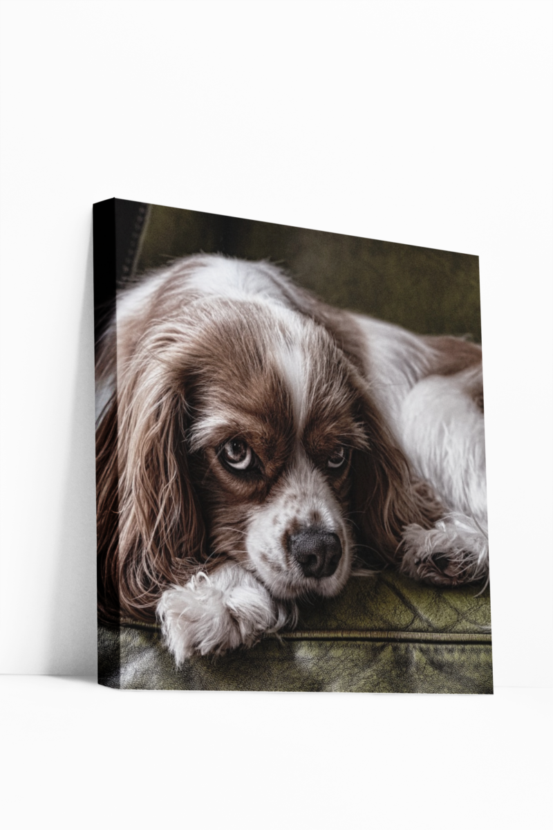 Your Images On Canvas - Image 2